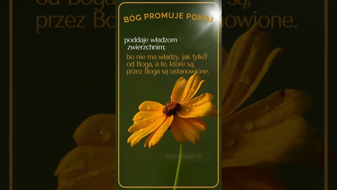 Bóg, który promuje pokój #jezus #biblia #bóg #słowobożenadziś #pobudkazesłowem