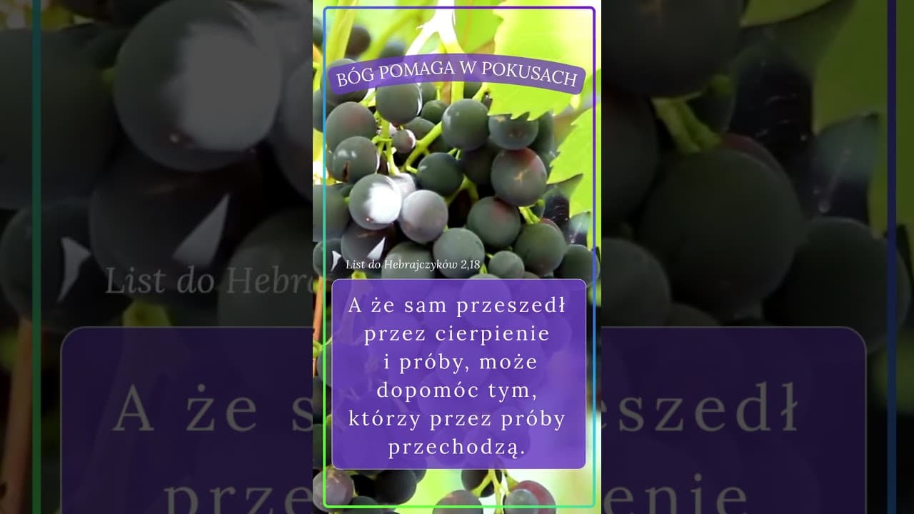 Bóg pomaga ci, kiedy jesteś kuszony #jezus #biblia #bóg #słowobożenadziś #pobudkazesłowem