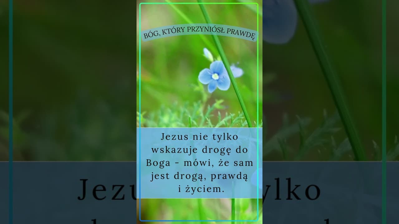 Bóg, który przyniósł prawdę #jezus #biblia #bóg #słowobożenadziś #pobudkazesłowem