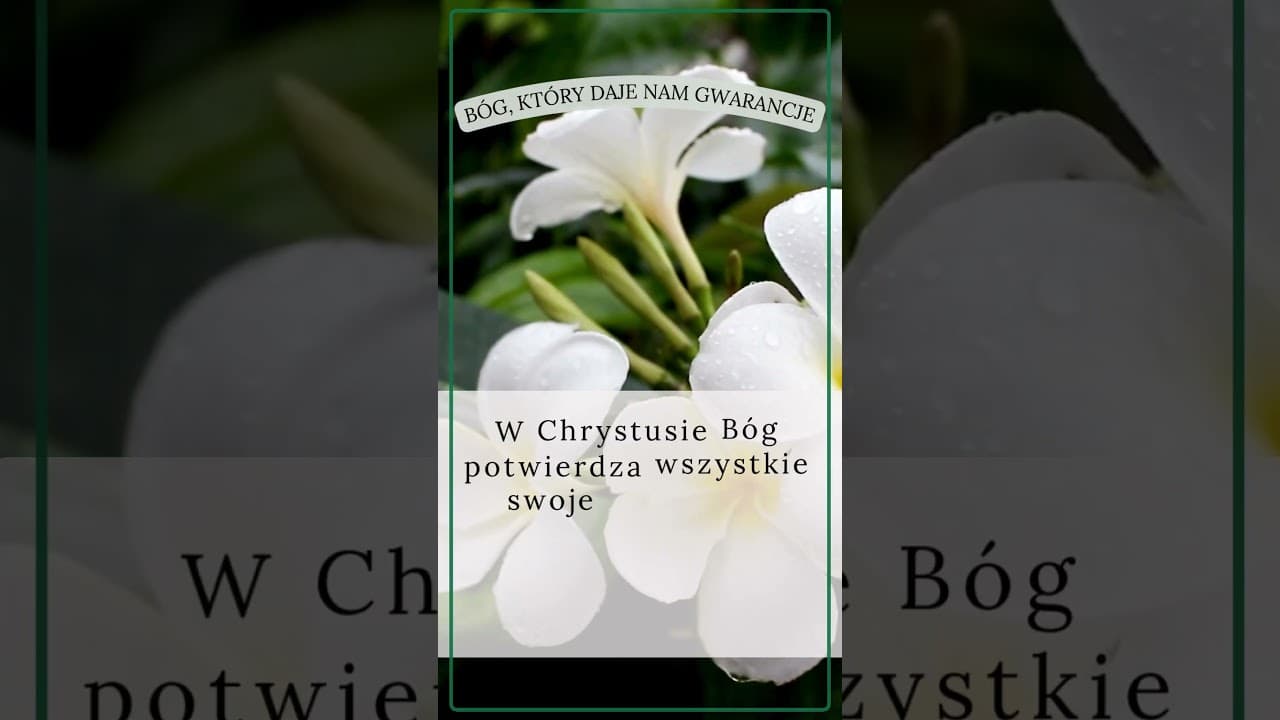 Bóg, który daje nam gwarancje #jezus #biblia #bóg #słowobożenadziś #pobudkazesłowem