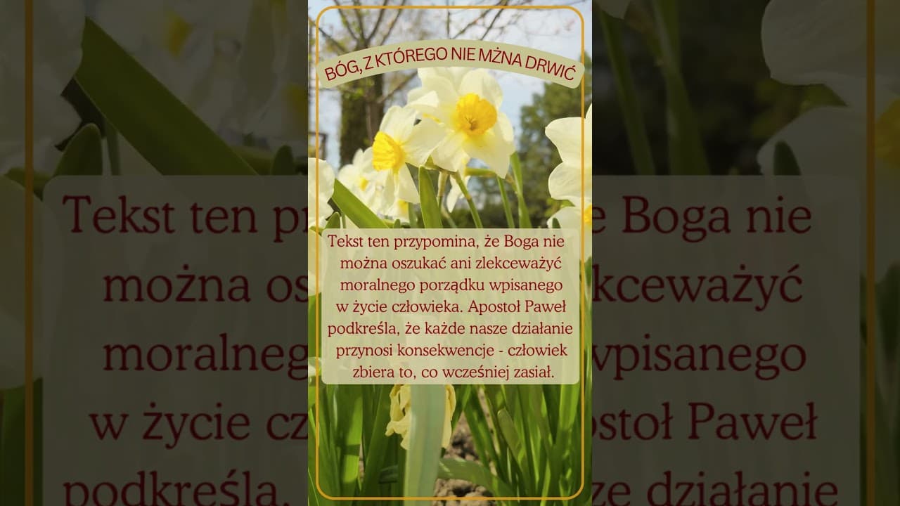 Bóg, z którego nie można drwić #jezus #biblia #bóg #słowobożenadziś #pobudkazesłowem