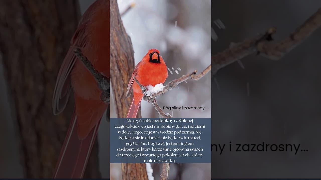 Bóg silny i zazdrosny #jezus #biblia #bóg #słowobożenadziś