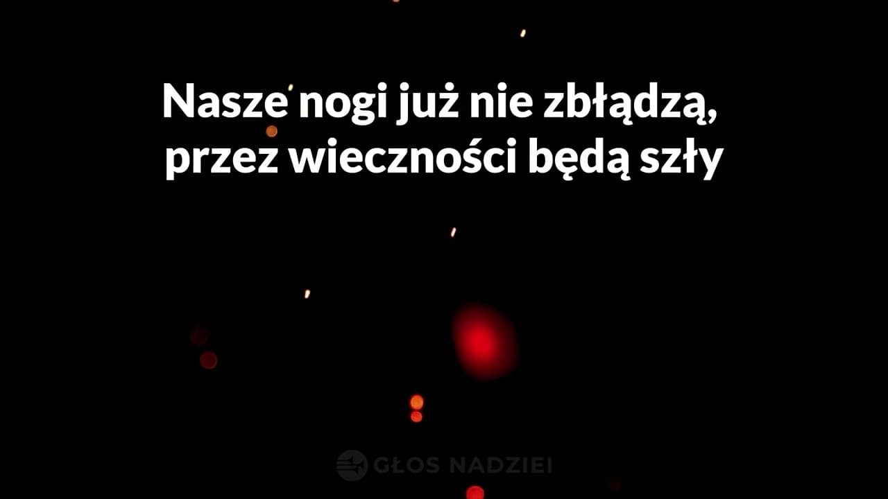 Daj serce