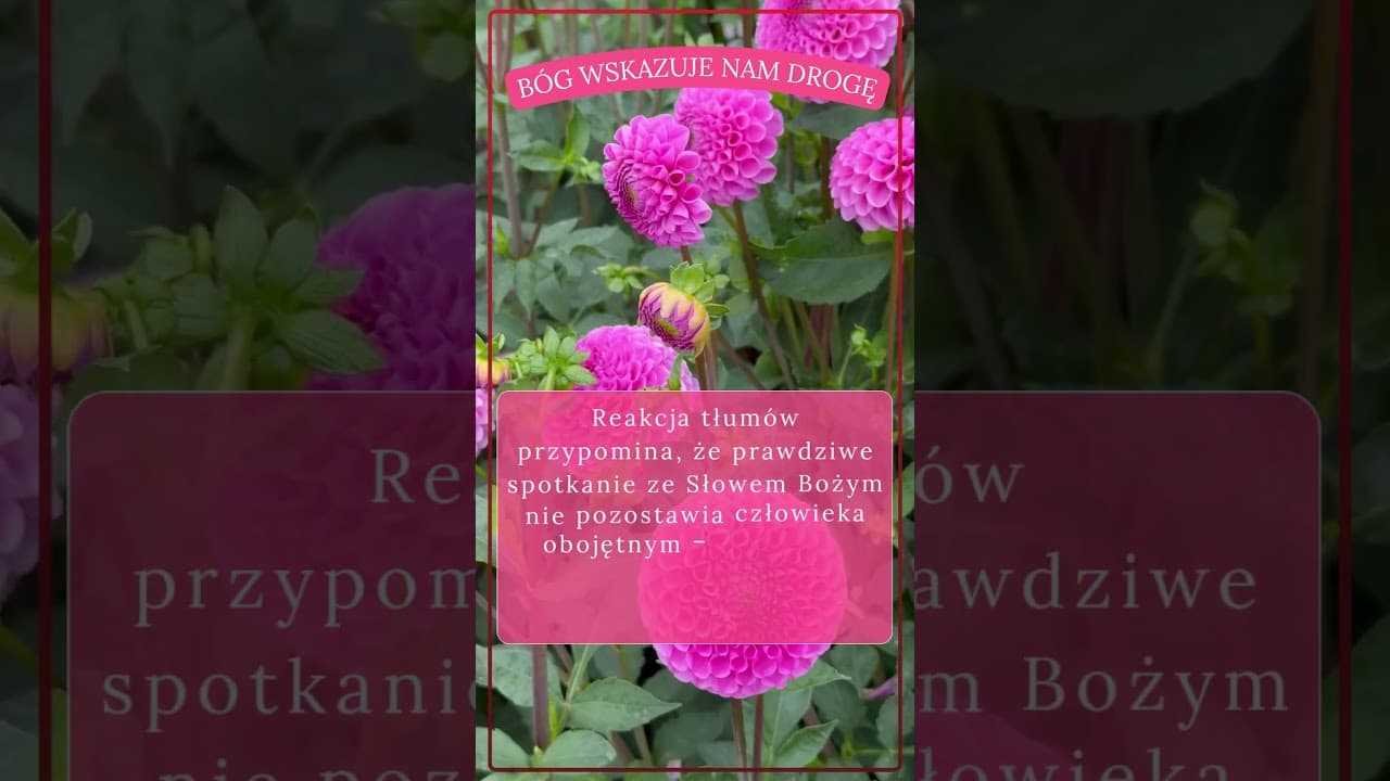 Bóg chce cię przemienic #jezus #biblia #bóg #słowobożenadziś #pobudkazesłowem
