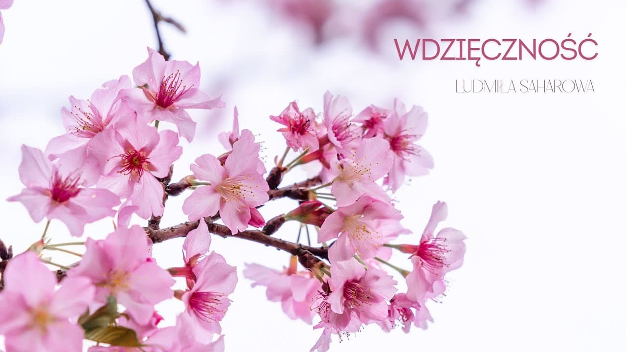 Wdzięczność / Подяка