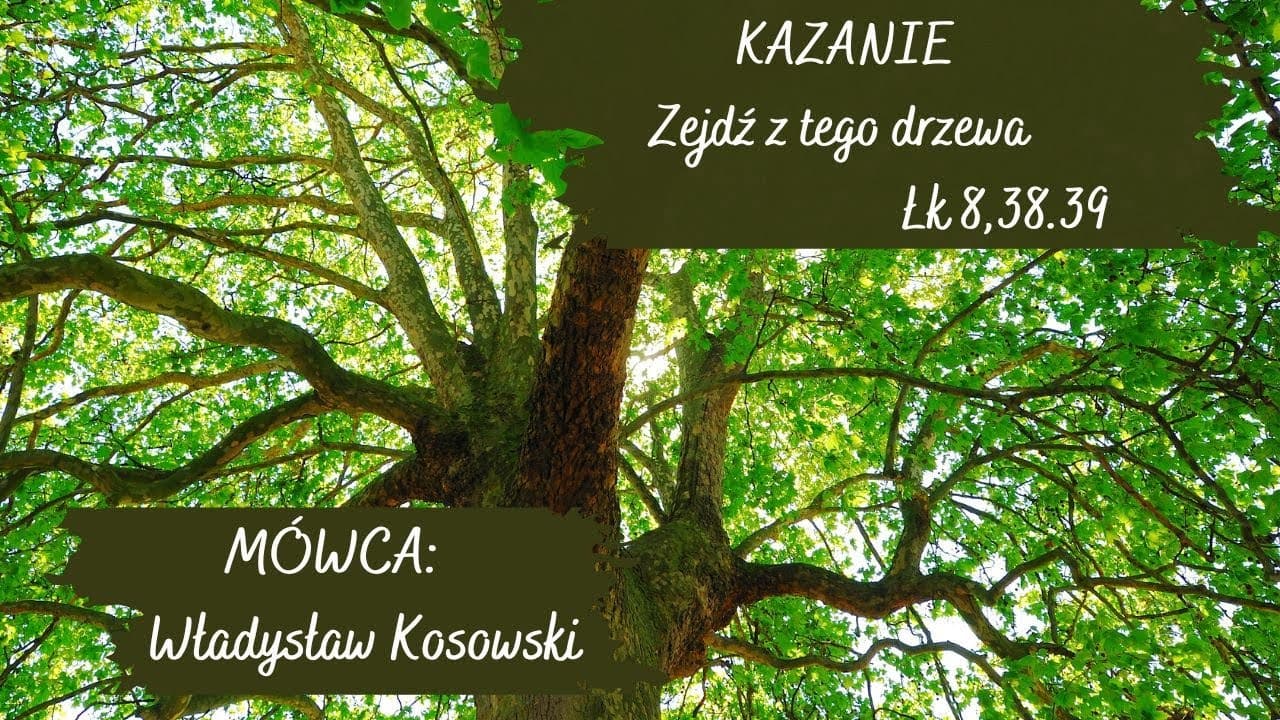 Zejdź z tego drzewa