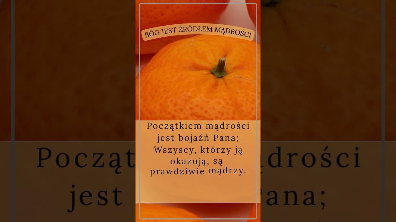 Bóg jest źródłem mądrości #jezus #biblia #bóg #słowobożenadziś #pobudkazesłowem