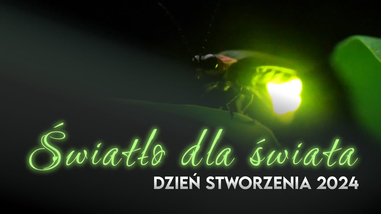 Światło dla świata | Dzień Stworzenia 2024