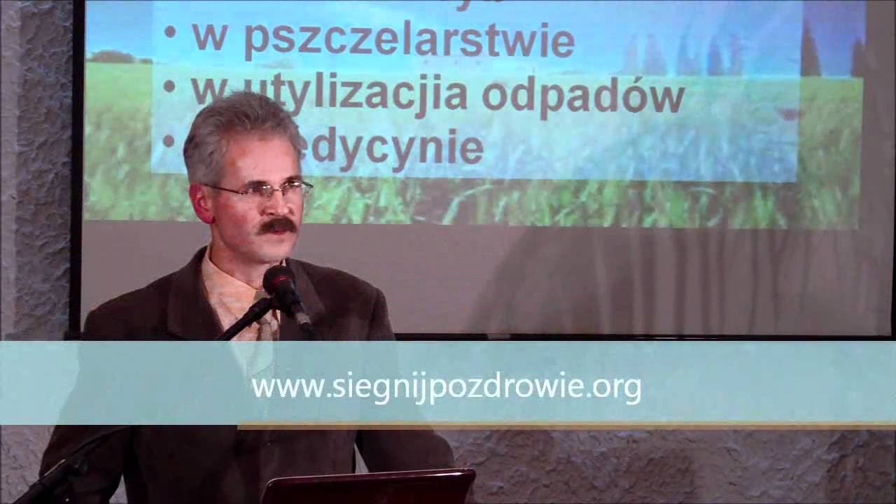 Efektywne mikroorganizmy