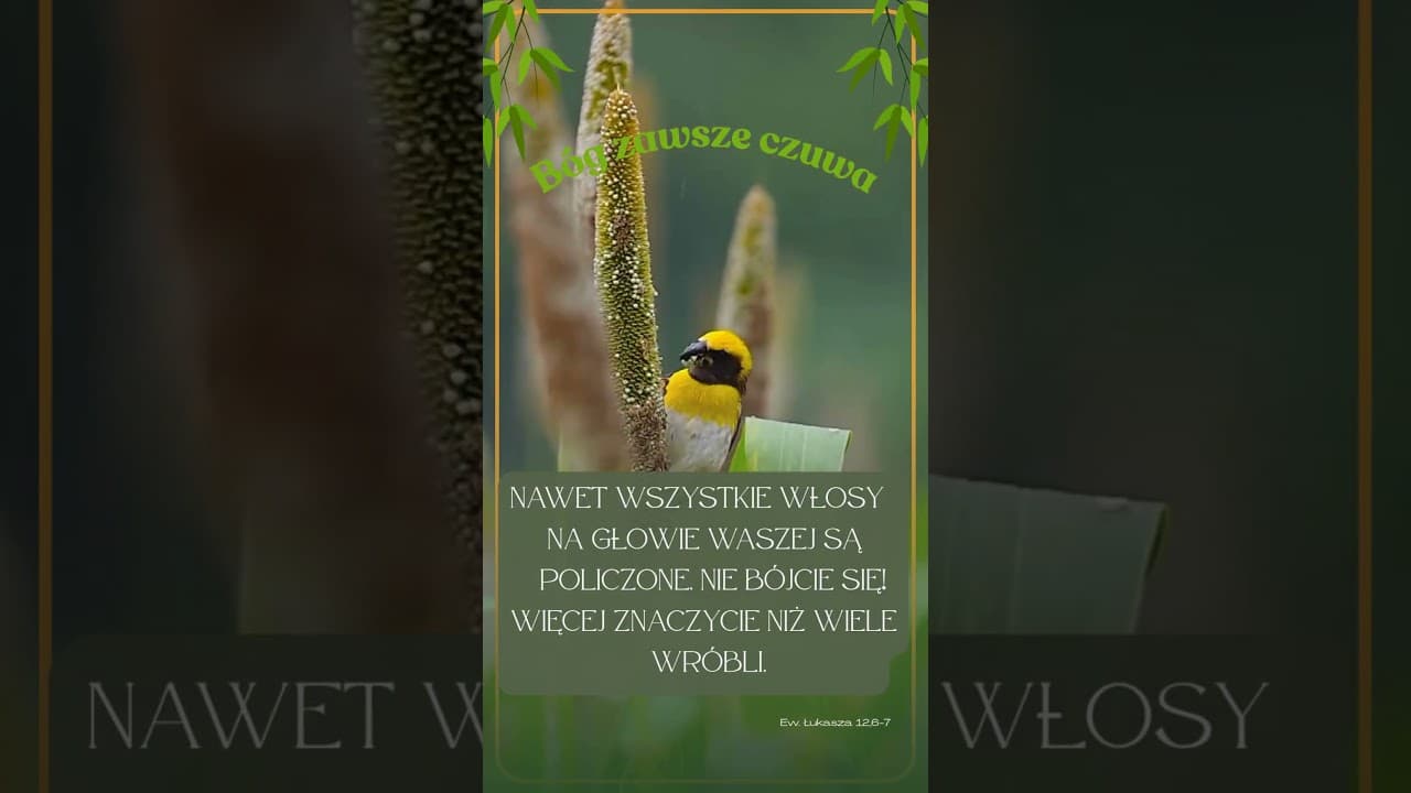 Bóg zawsze czuwa #jezus #biblia #bóg #słowobożenadziś #pobudkazesłowem