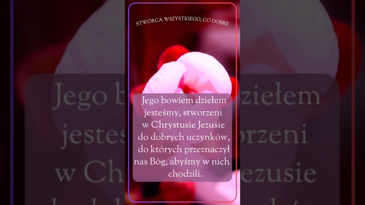 Stwórca wszystkiego, co dobre  #jezus #biblia #bóg #słowobożenadziś #pobudkazesłowem