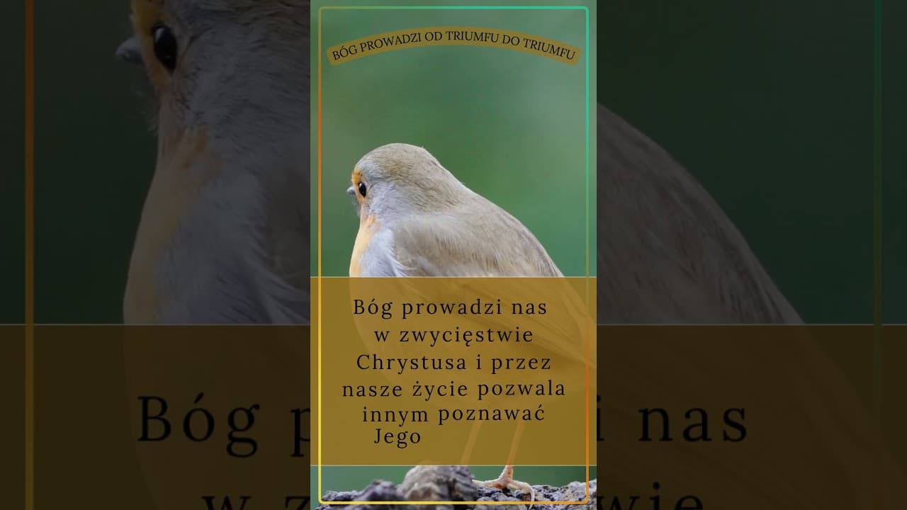 Bóg prowadzi nas od triumfu do triumfu #jezus #biblia #bóg #słowobożenadziś #pobudkazesłowem