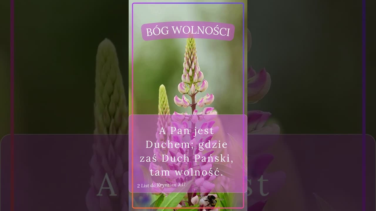 Bóg wolności #jezus #biblia #bóg #słowobożenadziś #pobudkazesłowem