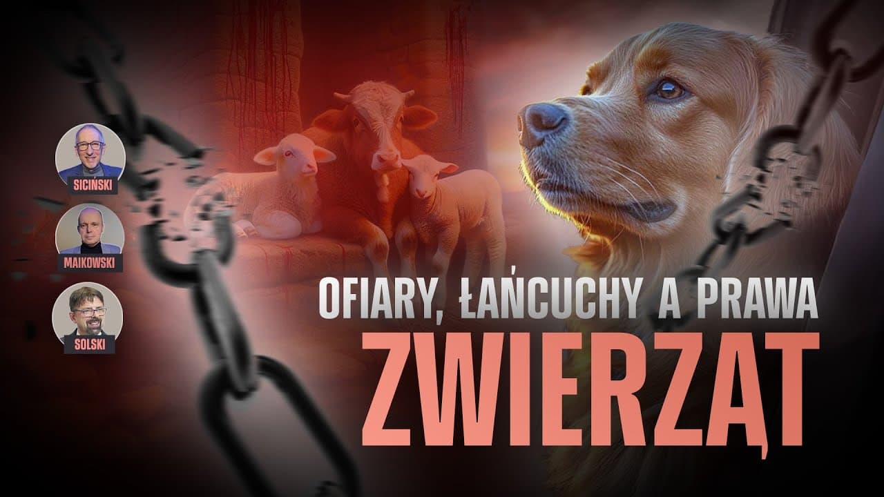 Psy, łańcuchy i biblijne ofiary. Biblia a prawa zwierząt - KomPas - Komentarz Pastorów #85