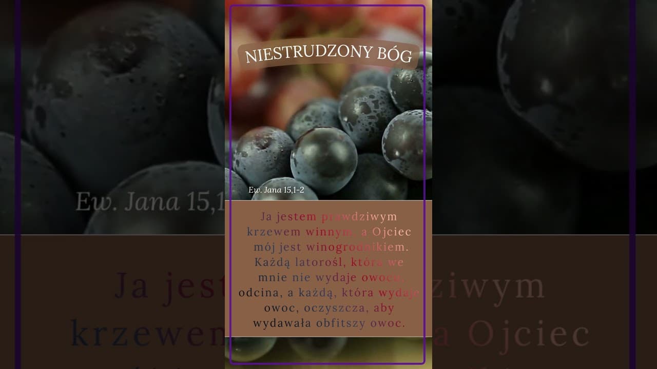 Niestrudzony Bóg #jezus #biblia #bóg #słowobożenadziś #pobudkazesłowem