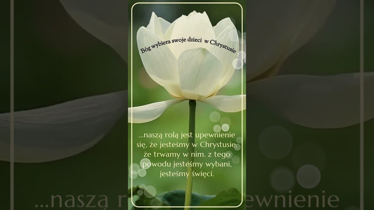 Bóg wybiera swoje dzieci w Chrystusie  #jezus #biblia #bóg #słowobożenadziś #pobudkazesłowem