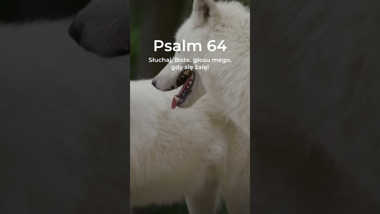 Psalm 64:2-6