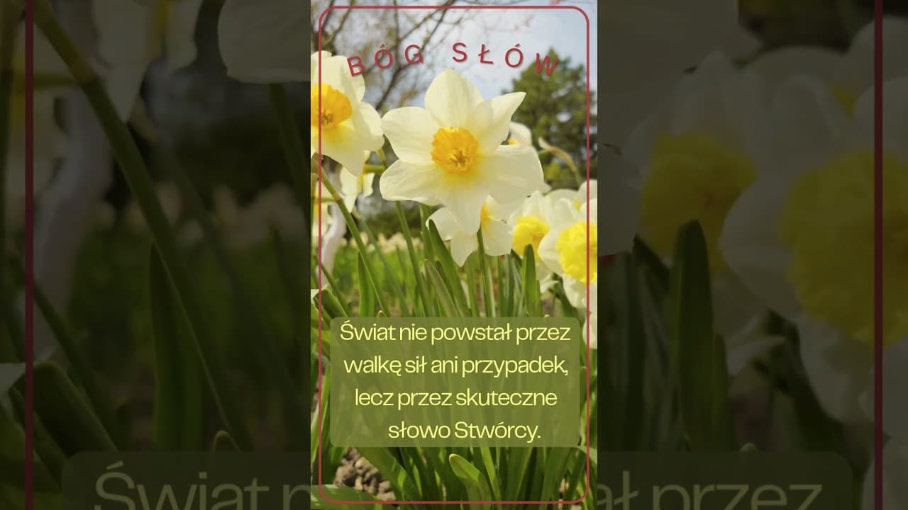 Bóg słowa #jezus #biblia #bóg #słowobożenadziś #pobudkazesłowem