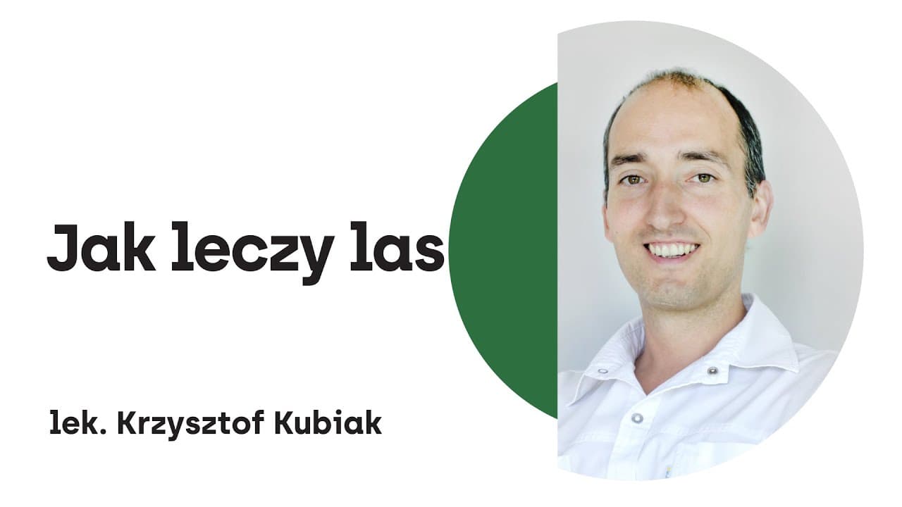 Jak leczy las