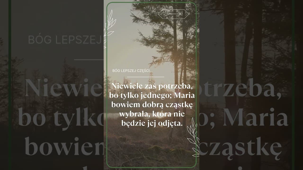 Bóg lepszej części #jezus #biblia #bóg #słowobożenadziś #pobudkazesłowem