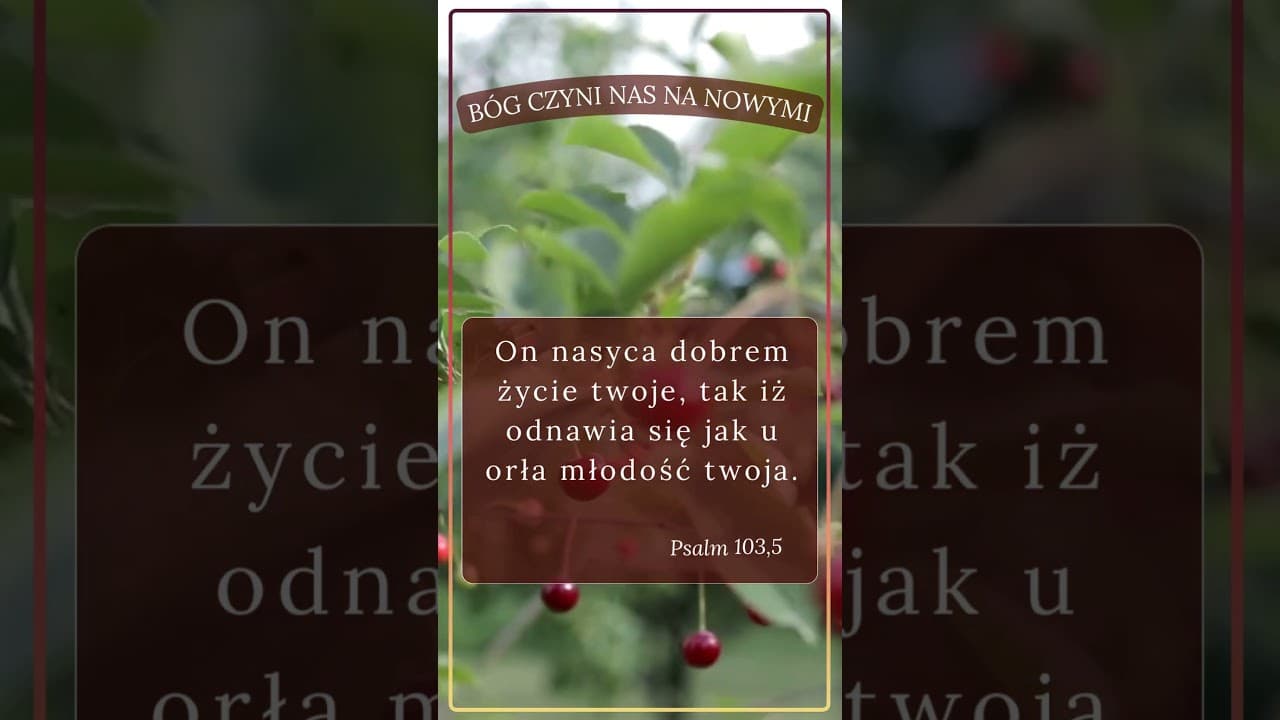 Bóg czyni nas nowymi stworzeniami #jezus #biblia #bóg #słowobożenadziś #pobudkazesłowem