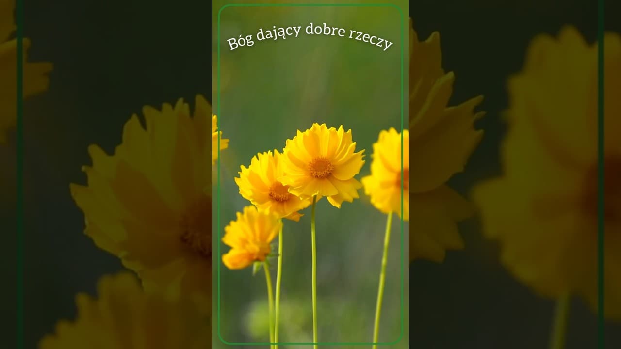 Bóg dający dobre rzeczy #jezus #biblia #bóg #słowobożenadziś #pobudkazesłowem