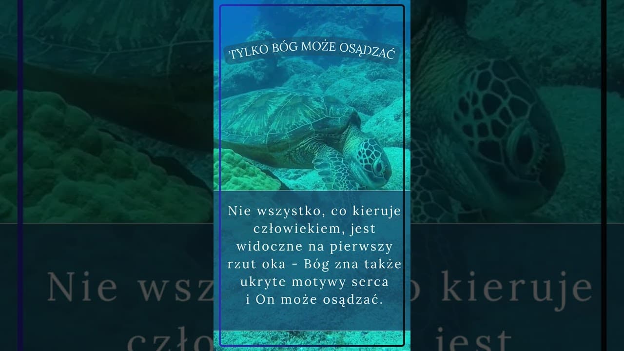 Tylko Bóg może osądzać #jezus #biblia #bóg #słowobożenadziś #pobudkazesłowem