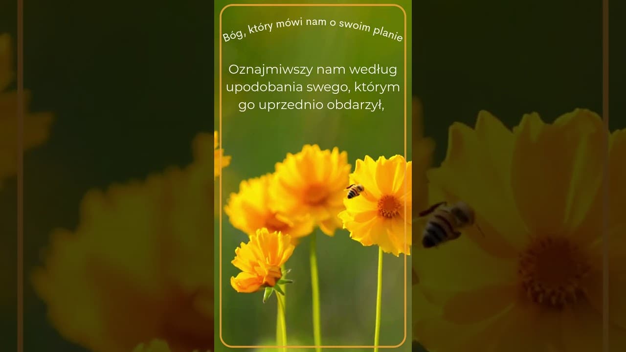 Bóg, który mówi nam o swoim planie #shorts #wersetdnia #Biblia #SłowoBoże #wiara #pobudkaZeSłowem
