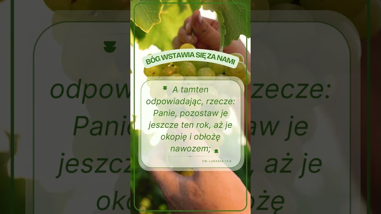 Bóg wstawia się za nami #jezus #biblia #bóg #słowobożenadziś #pobudkazesłowem